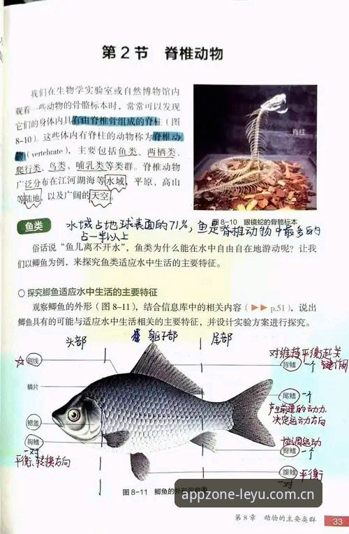 揭秘乐鱼安全吗？资深玩家亲测v3.0.2版本的实战真相